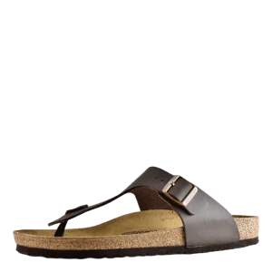 Ramses (normal) Brown