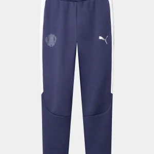 teamEVOSTRIPE Pants HIF