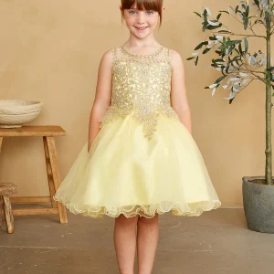 Baby Dress with Floral Applique Bodice by TIPTOP KIDS - AS7013S